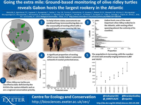Tweetable science poster of olive ridley research